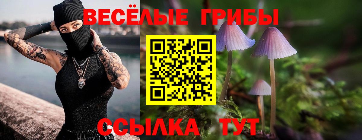Галлюциногенные грибы ЛСД  купить наркотик  Приморско-Ахтарск  Вход с VPN 